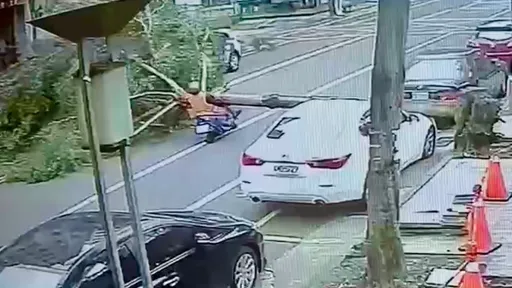 不偏不倚片｜大樹突斷砸中路過機車騎士　痛到倒地！路邊2轎車也遭殃