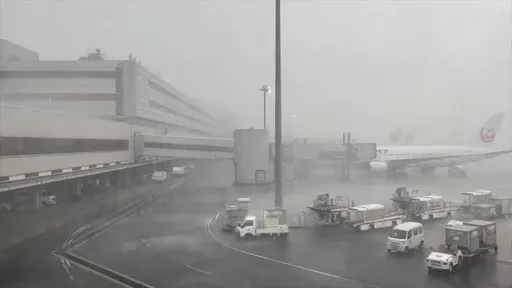 東京羽田機場落雷停擺2.5小時 近百航班取消