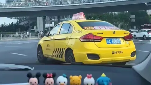 一趟計程車跑了1900公里　運將太猛！花6天進帳6.6萬元