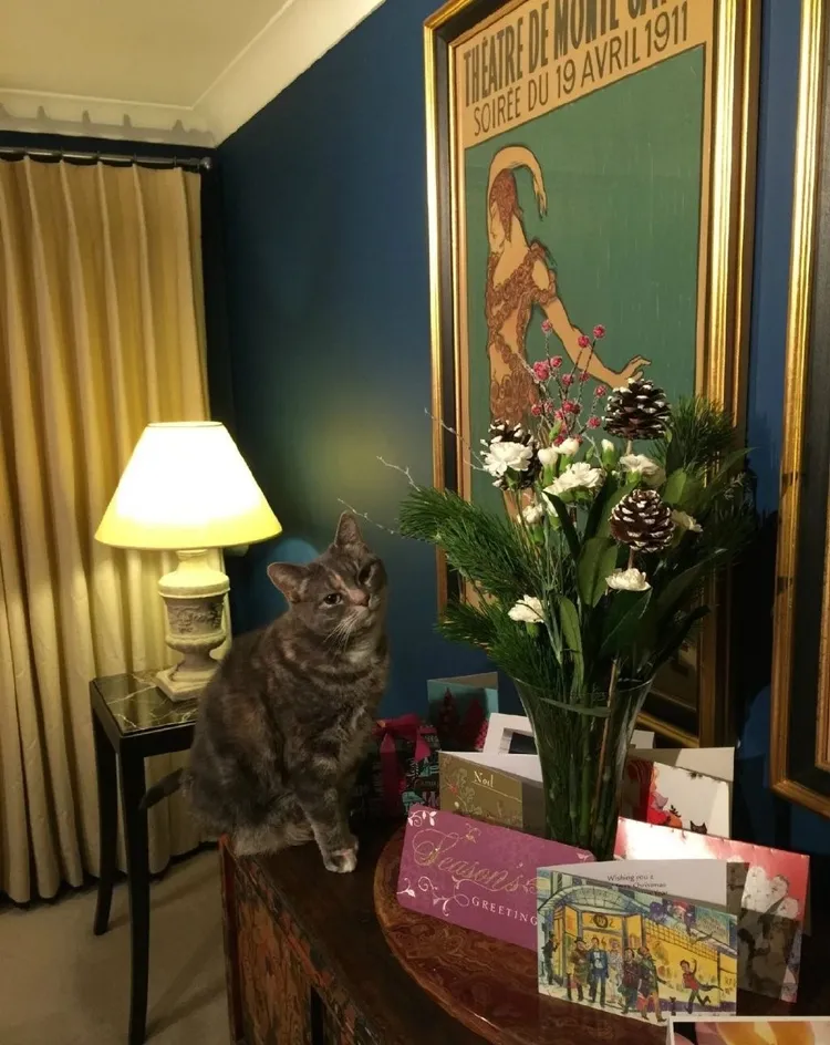 倫敦家中一隅。翻攝費翔微博