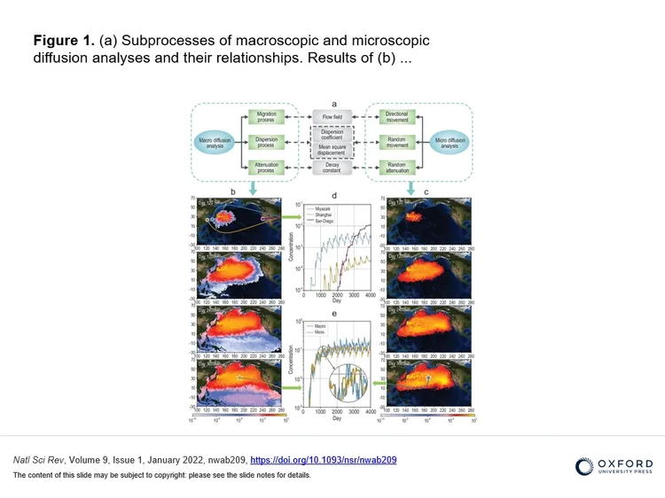 北京清華大學的研究。翻攝《國家科學評論 National Science Review》網站