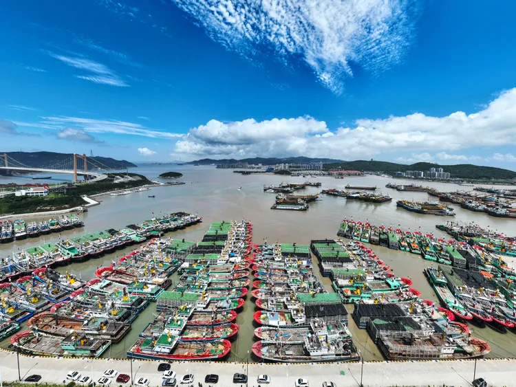 中國漁船31日停進浙江舟山市岱山縣中心漁港內，躲避「卡努」。新華社