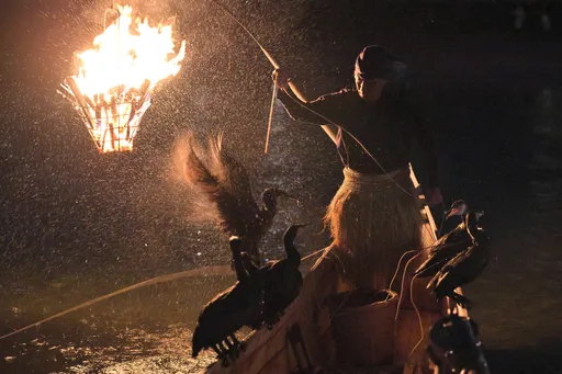 遊日搭船賞「鸕鶿捕魚」遇暴雨被沖走擱淺　台灣夫婦受傷