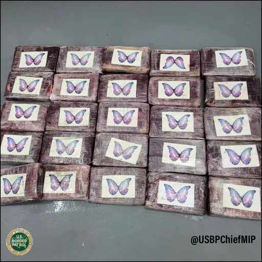 釣魚釣到價值3500萬包裹 她看一眼秒懂裡面裝什麼