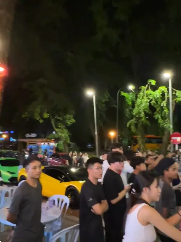 圍觀人潮與路邊停泊的名車。