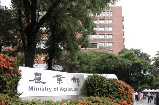 進口雞蛋補貼挨轟圖利 農業部:業者是協助解決國內蛋品黑市價亂象