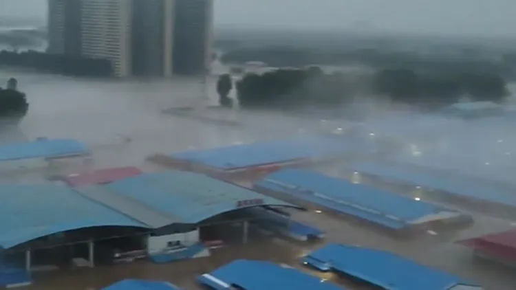 翻攝自《觀察者網》