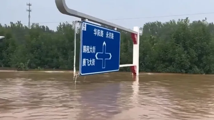 翻攝自《觀察者網》