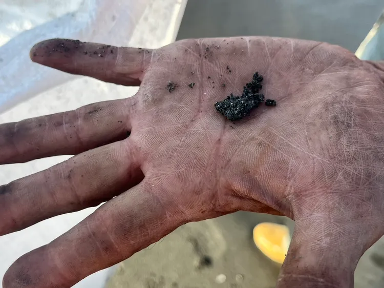 旗津海灘油球。港務公司提供