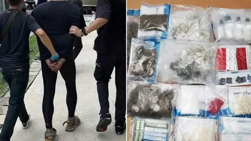 零容忍!新加坡全島大掃毒 逮捕130人最小僅15歲