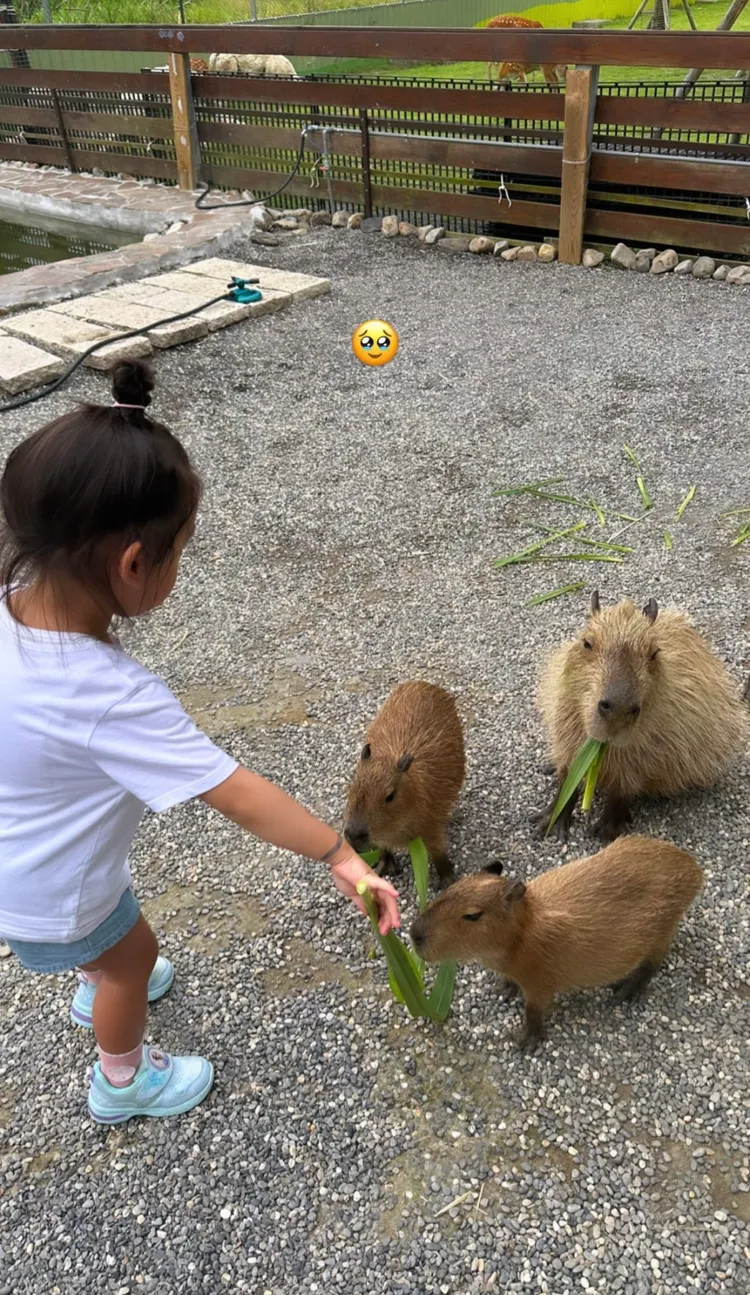 蔡詩芸昨白天PO出限動，帶著女兒到郊外踏青，親近大自然。翻攝蔡詩芸IG