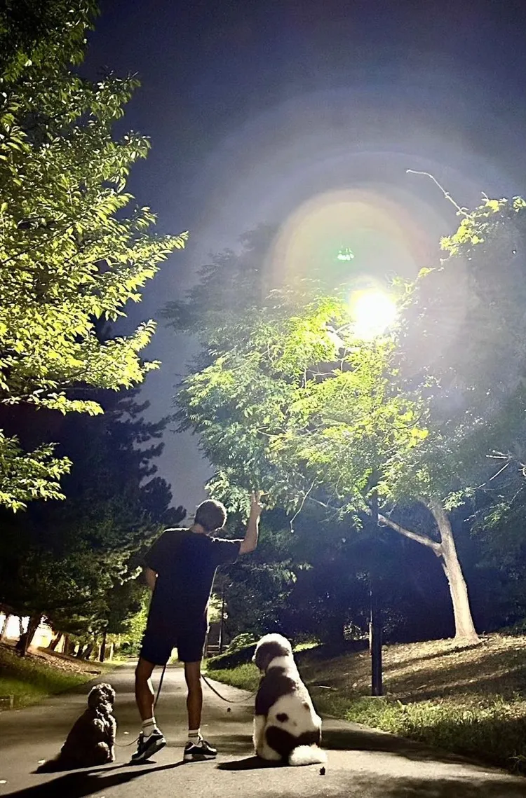 木村拓哉大多利用晚上遛狗，避免狗狗中暑。翻攝木村拓哉IG