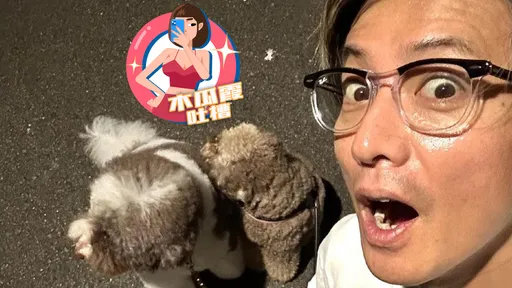 木瓜霞｜上輩子拯救地球啦　她巧遇木村拓哉還被拍頭