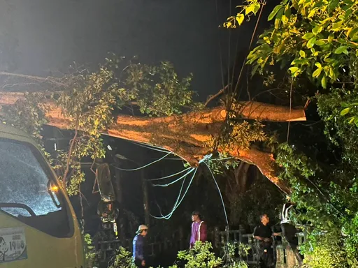 路樹倒塌壓折電桿、電線斷裂起火 新店雙城路一帶大停電!725戶搶修中