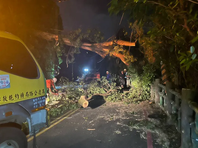 路樹倒塌壓毀電線桿而起火。翻攝畫面