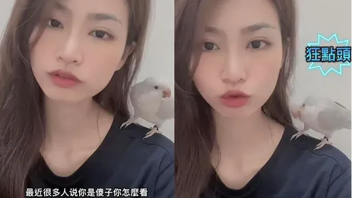 成精了！美女主人被說傻　鸚鵡神反映笑噴全網