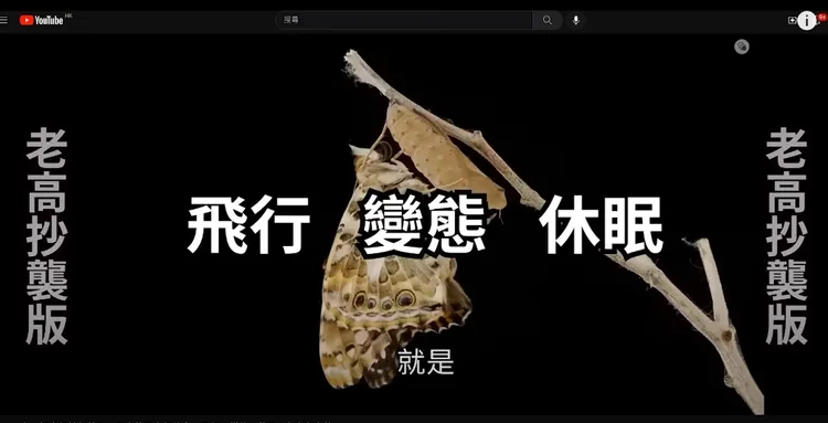 翻攝自YT頻道「藍泉媽媽」