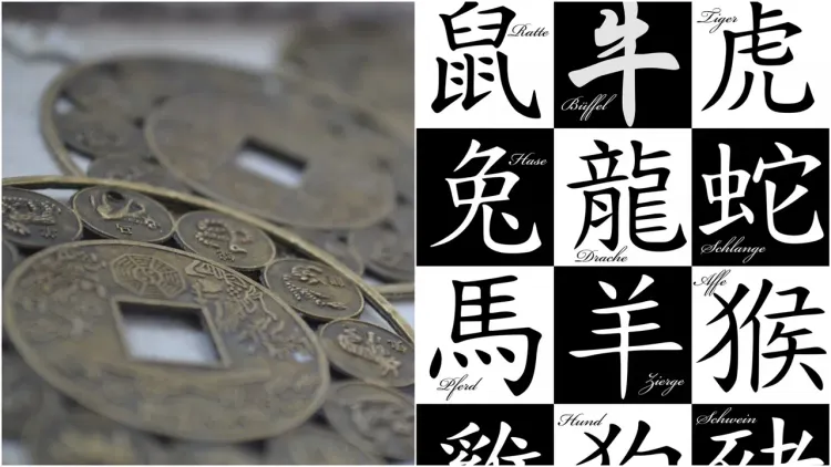 12生肖示意圖，翻攝自pixabay