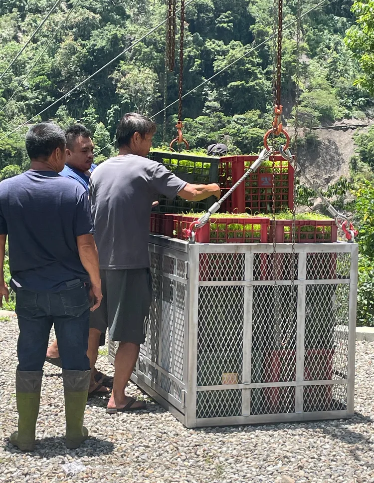 緊急流籠昨日首次啟用，運送山區物產下山。市府提供
