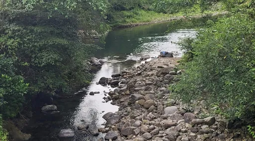 新北一家六口野溪邊戲水消暑　勇父救11歲兒反溺水命危