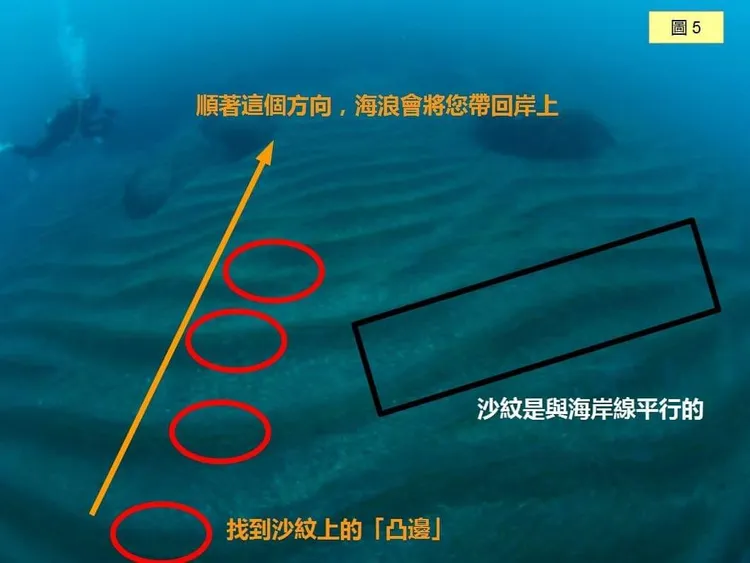 尋找沙紋的凸點連線，試著從離岸流減弱的「頸部」或「頭部」，游向最近的一條凸點連線。取自洪采陽臉書