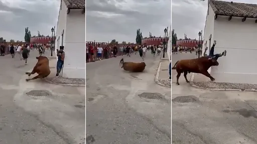 驚人影片｜猛牛追人滑一跤「遷怒狂頂無辜女」　她反鬥牛實測GG了