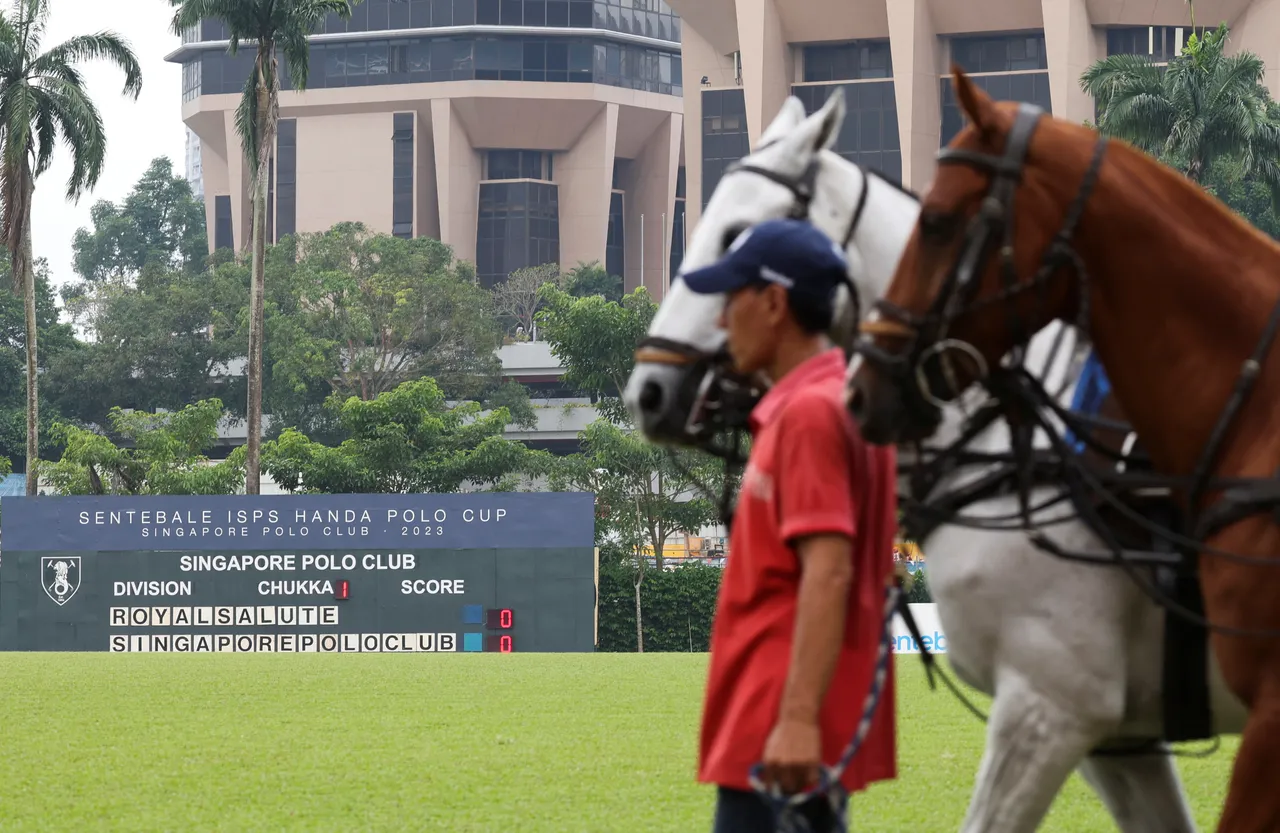 新加坡馬球俱樂部即將舉行慈善馬球賽。路透社