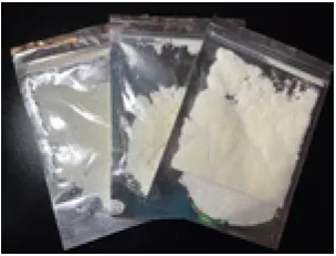 翻攝加拿大皮爾區警方網站