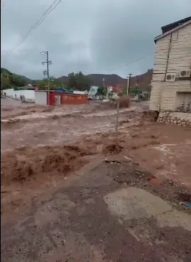 墨西哥聖塔羅薩利亞災情。翻攝推特