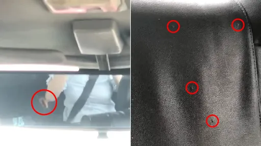 這輛計程車「竟是蟑螂屋」 無數小強亂爬!女乘客嚇到想下車還不行