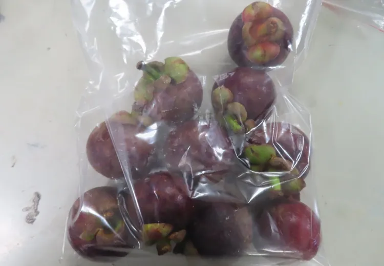 泰國出口山竹今年累計5批不合格，提高到加強抽批。食藥署提供