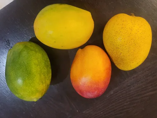 中國禁芒果輸入!農業部不擔心 原因是這樣