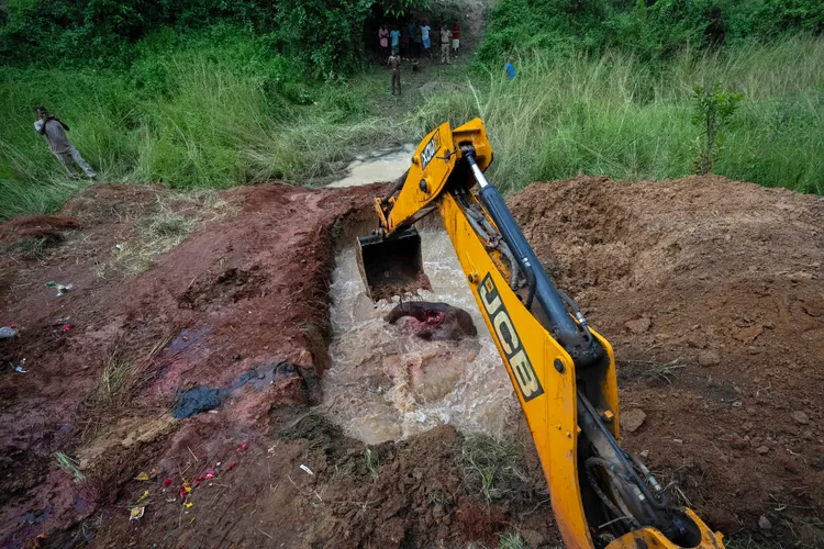 怪手將小象移入墓穴中。美聯社