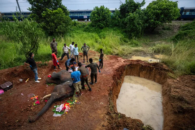 不遠處可見列車行駛。美聯社
