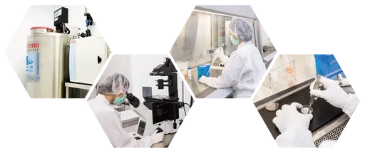 回擊偷賣技術給中資 三顧副董聲明7月已提告