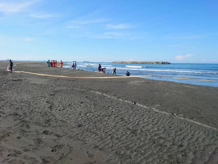 旗津沙灘油污範圍約100米，已圍起警戒線，禁止遊客進入。翻攝畫面