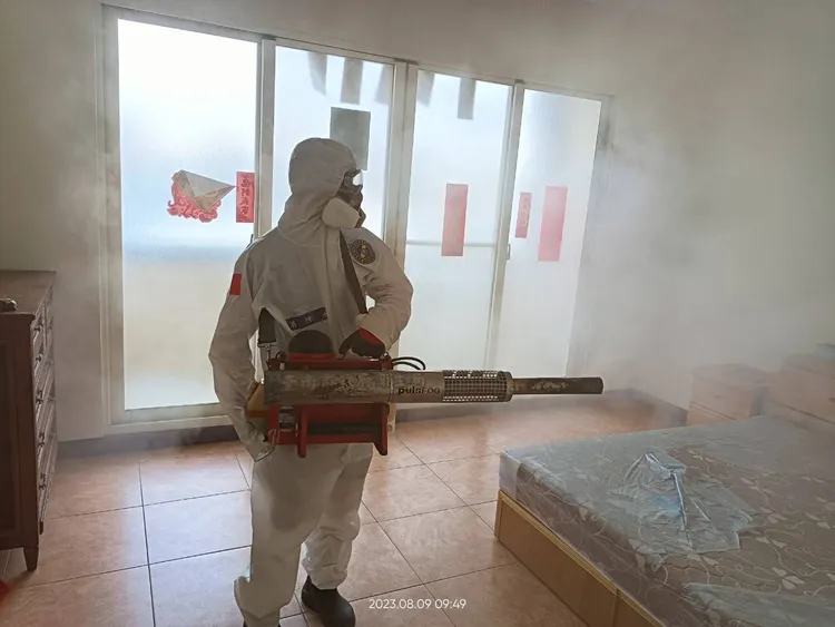 市府每天動員超過500人次化學防治。市府提供