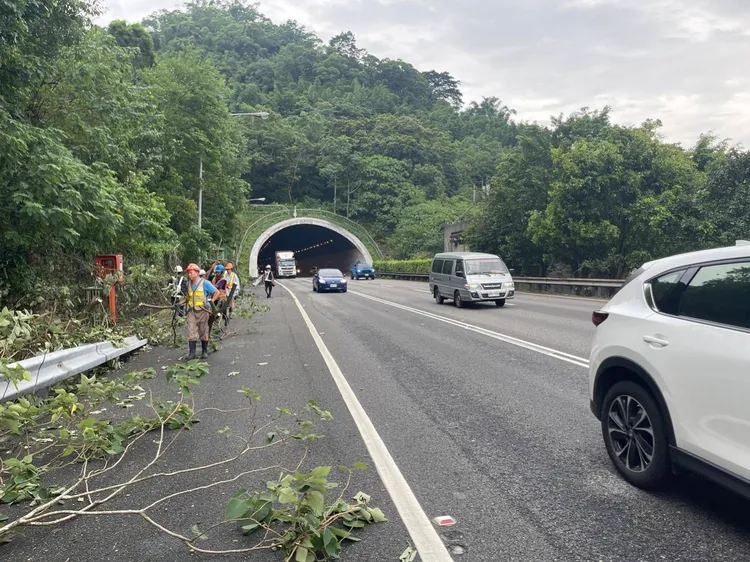 稍早路樹已排除。翻攝畫面