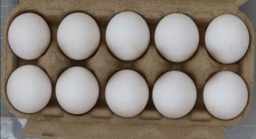土耳其進口蛋又出包!殘留不得檢出動物用藥 53公噸退運銷毀