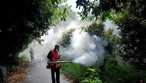 本土登革熱第2死！雲林婦發燒意識變差　住院1周肺炎惡化過世