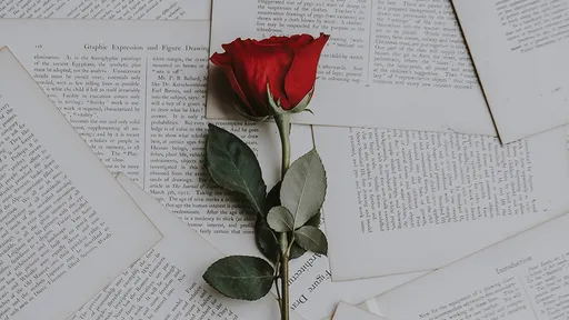 機組員送她玫瑰花 順手帶下飛機「澳洲開罰3.8萬元」