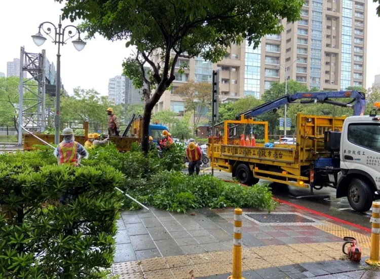 北市災情最多是路樹傾倒。北市公園處提供