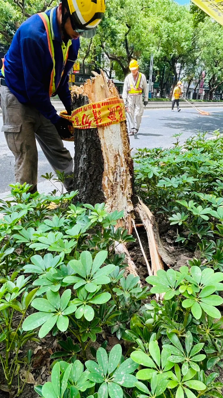 翻攝林珍羽臉書