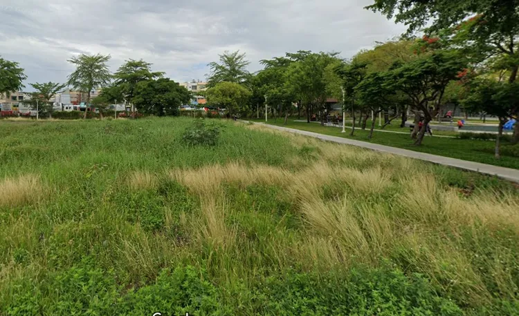 「園藏林」位於東林西路249巷、田厝路75巷，社區233戶，緊鄰田中央公園。翻攝google map