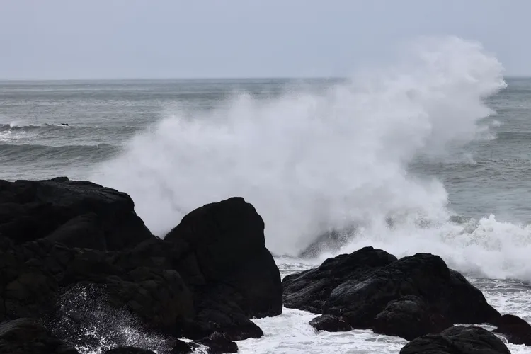 卡努來勢洶洶。林林攝