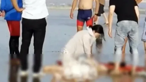 下海劝泳客上岸别游太远 救生员体力不支溺毙了