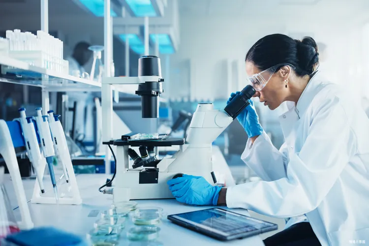 中研院、台北生技園區、國家生技研究園區等機構設址南港。