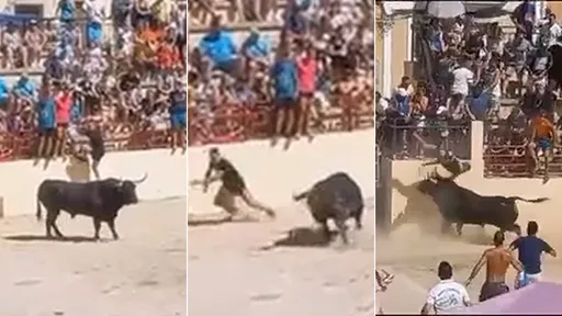 驚悚影片|他對猛牛玩偷襲 慘被「牛角刺腹甩上天」蹂躪20秒重創