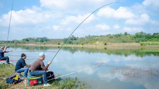 釣魚也能賭!警方破獲競標釣魚騙局 賭客豪擲萬金傾家蕩產