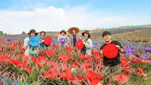 快来抢120万奖金!打造屏东队 2023屏东青年社会创新竞赛开跑